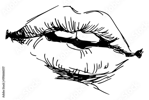 Close up sketch of woman lips biting a rose stem