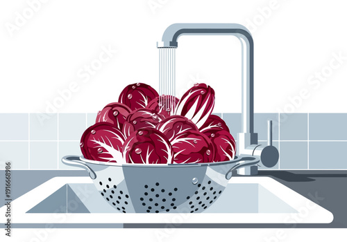Fresh Radicchio Being Washed in a Kitchen Sink.