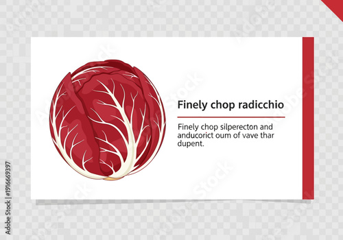 Fresh Radicchio Vegetable for Culinary Use.