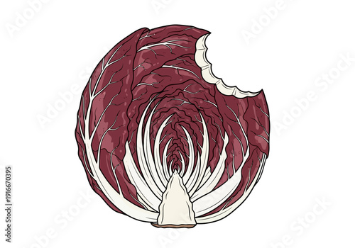 Illustration of a Radicchio Leafy Vegetable with a Bite Taken Out.