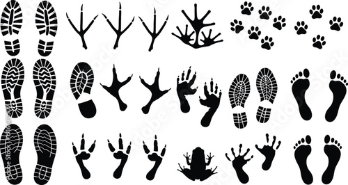 Vector illustration of diverse footprints including human, bird, amphibian, and animal tracks symbolizing wildlife, biology, education, and decorative design