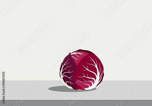 Red Cabbage Vegetable Fresh Healthy Food Ingredient.