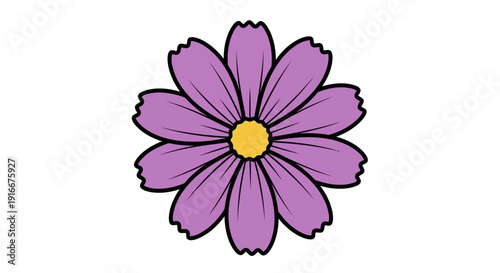 Beautiful Purple Cosmos Flower with Yellow Center.