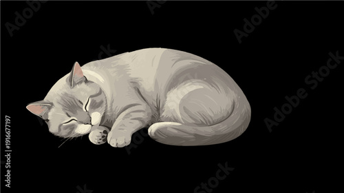 A vector illustration of light-colored cat with closed eyes sleeps curled up on a transparent background.