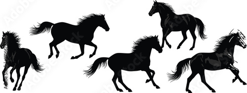 Vector illustration of horses in running poses symbolizing wildlife, grace, motion, strength, nature, biology, education, and decorative design