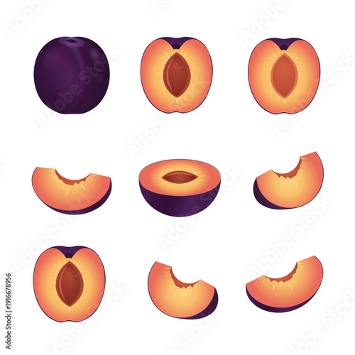 Plum Set – Whole, Half, Sliced, and Plum Pieces Flat Vector Illustration