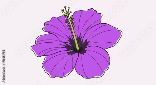 Vibrant Purple Hibiscus Flower Illustration with Detailed Petals.