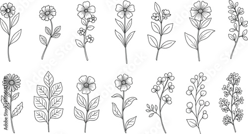 Botanical vector illustration collection featuring twelve unique black and white floral designs with diverse leaves, blossoms, and stems  
