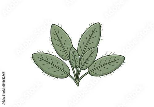 Green Plant Leaves Illustration Isolated White Background.