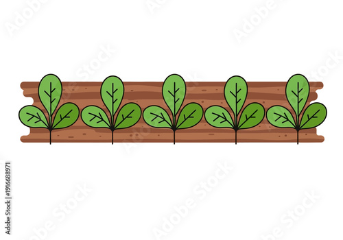 Row of Young Green Plants Growing in Soil.