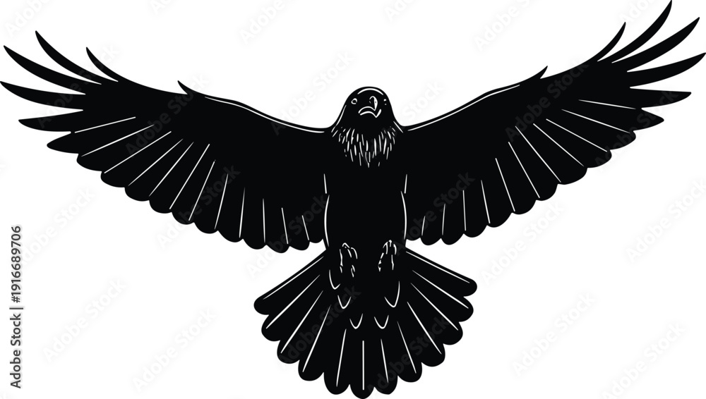 Obraz premium Eagle hawk silhouette vector illustration with spread wings, detailed feather artwork, wildlife bird nature decorative black drawing