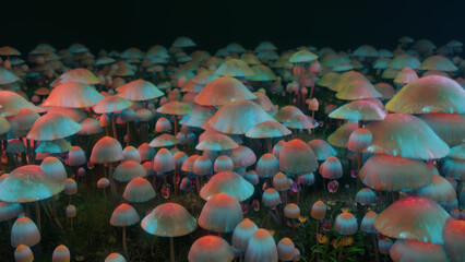 Ingelijste posters Meisjeskamer Surrealistisch paddenstoelenlandschap met gloeiende hoeden  © Versa