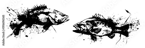 Two swimming freshwater fish in artistic ink splatter and grunge style