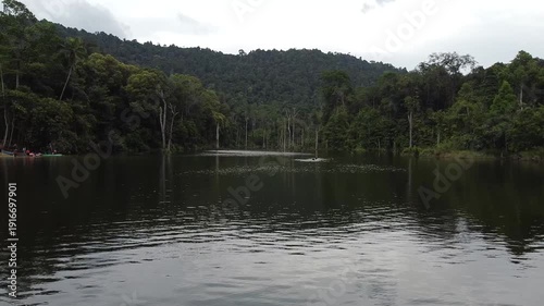 view of rainforest lake
