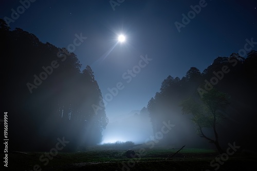 Moonlit forest landscape with foggy atmosphere and starry night sky