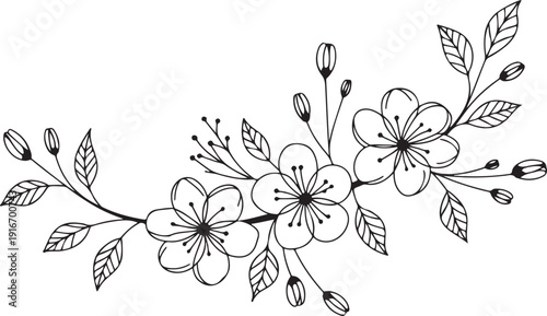 Sketch Floral Botany Collection. flower drawings. Black and white with line art on white backgrounds. Hand Drawn Botanical Illustrations. Vector