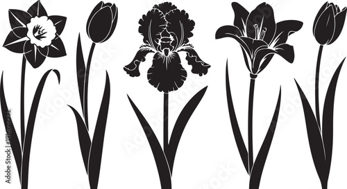 Vector black silhouettes of spring flowers (tulips, narcissus and iris) isolated on a white background