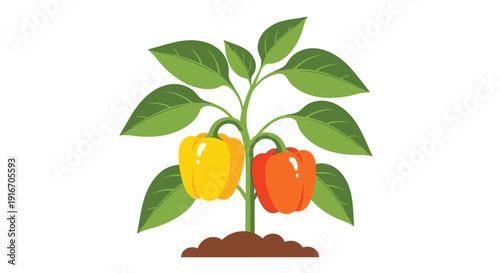 A vibrant illustration of a pepper plant with developing yellow and red peppers