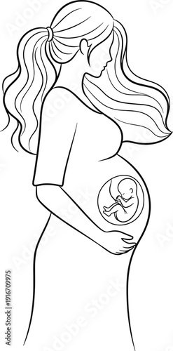 Pregnant woman line illustration showing fetus inside womb, representing maternity, pregnancy care, prenatal health, and motherhood concept design