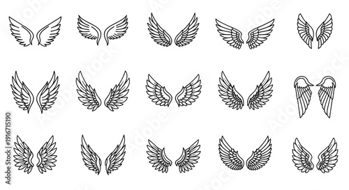 Collection of black and white butterfly illustrations with detailed wings