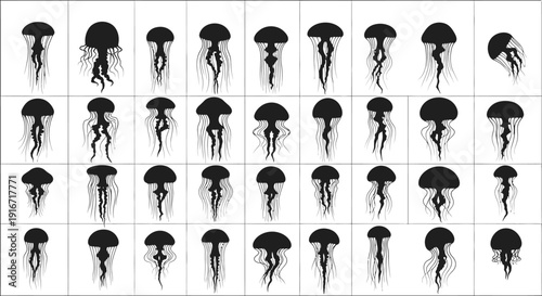 Collection of black jellyfish illustrations in various poses on white background