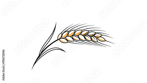 Detailed golden ear of ripe barley or wheat with long bristles and delicate leaves on a solid white background.