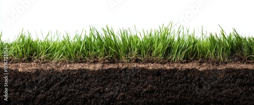 Panel kuchenny z motywem The Grass and Soil Cross Section Showing Rich Earth Layers and Fresh Green Sod