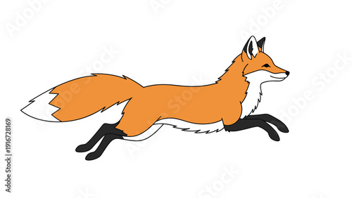 Orange red fox with a bushy white-tipped tail captured in a full speed running pose on a plain white background.
