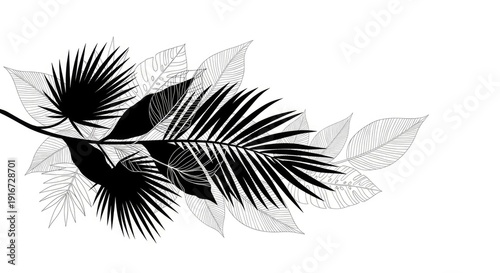 Black and white tropical leaves composition. Exotic jungle foliage illustration in silhouette and detailed line art styles, arranged on a clean white background.
