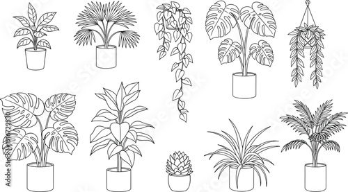 Hand drawn vector line art collection of various tropical indoor house plants in pots isolated on white background for decoration