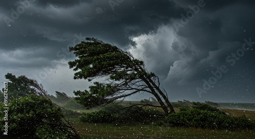 Stormy weather with trees bending in the strong wind and dark clouds