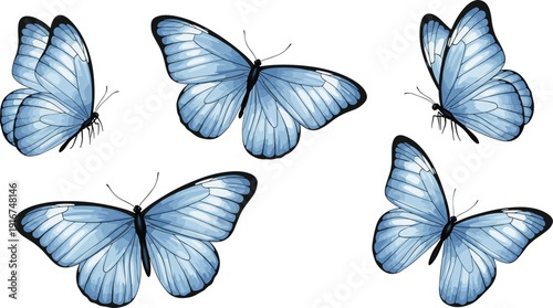 Collection of five light blue butterfly illustrations with detailed wing patterns and black borders isolated on a white background for spring and nature design.