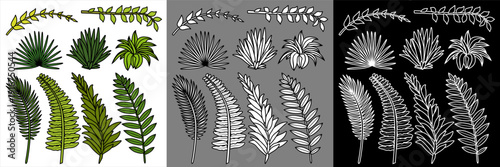 Ensemble de pictogrammes représentant diverses espèces de plantes et branches - 3 versions : couleur, blanc au contour noir et contour filaire blanc.