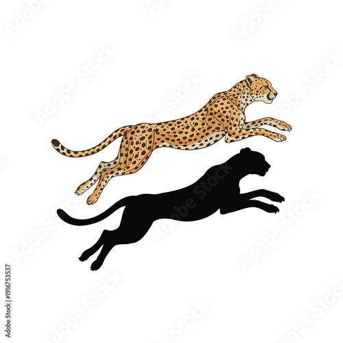 Stylized of a Leaping Cheetah and a Silhouette of a Leopard