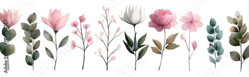 Watercolor floral arrangement with various blooms, leaves, and buds on stems