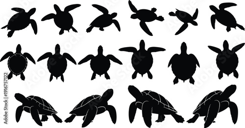 Set of sea turtle silhouettes in various swimming and crawling poses, marine animal vector icons isolated on white background, ocean wildlife