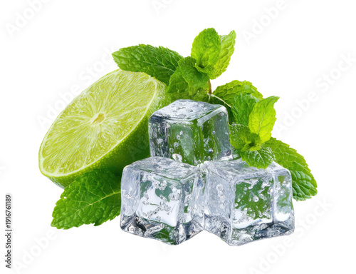 Fresh lime slices with ice cubes and mint leaves vector