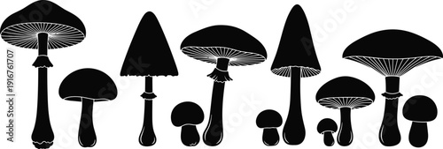 Set of Mushroom Silhouette Vector Illustrations, Forest Fungi Icons, Wild Organic Toadstools, Autumn Nature Elements, Mycological Graphics
