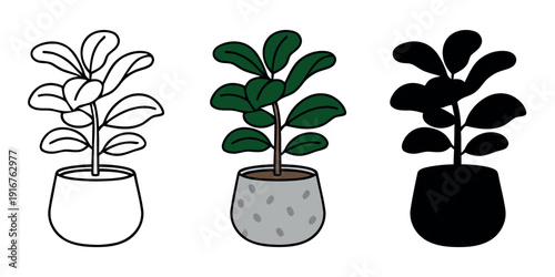 Dark green rubber plant in a speckled stone pot. Minimalist vector design in outline, color, and silhouette versions for branding and icons.