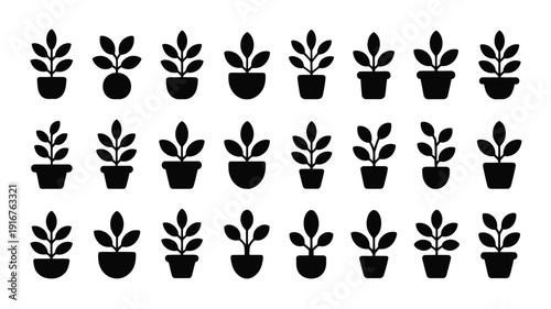 Set of small indoor plant silhouettes on white background for decoration and design