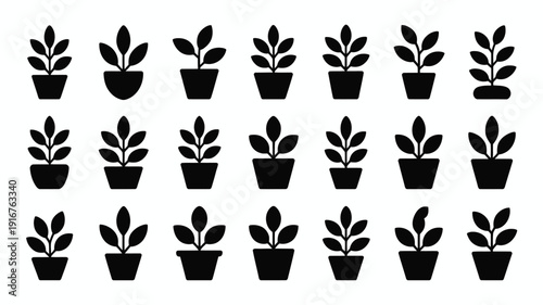 Set of small indoor plant silhouettes in pots on white background for decoration and design