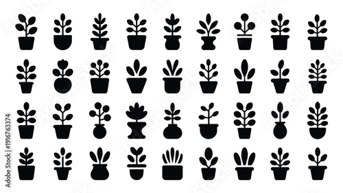 Collection of decorative indoor plant silhouettes in black pots on white background for design and decoration