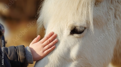 Equine assisted therapy with little boy stroking pony in countryside, highlighting horse, child, pet, animal bonding, rural nature setting, emotional support and care concept