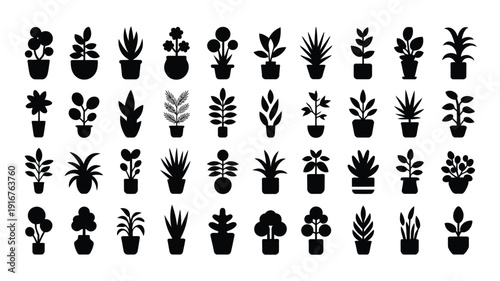 Collection of modern houseplant silhouettes in black pots on white background for decoration and design