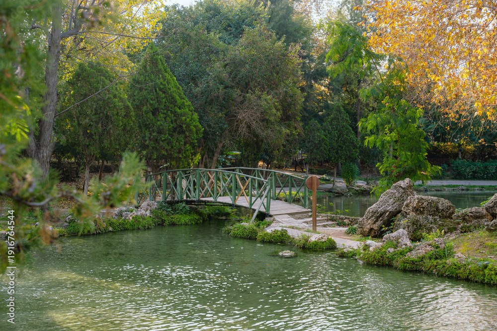Fototapeta premium Scenic Garden Bridge Over Calm Park Water