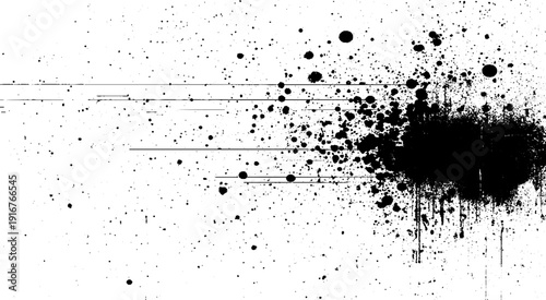 Abstract white and black grunge dust particle and dust grain texture. White and black ink splatter grunge dust particle and dust grain texture. 