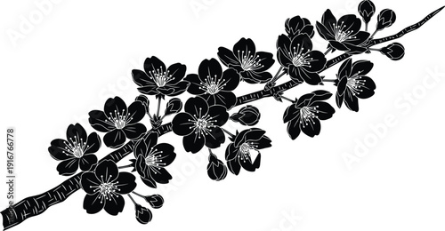 Black cherry blossom branch silhouette with blooming sakura flowers and buds, oriental floral design element, cad drawing flat vector illustration.