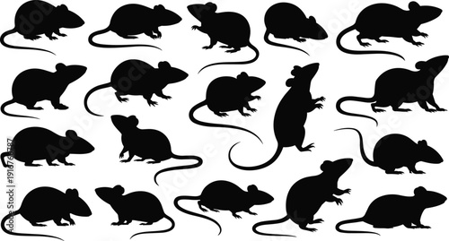 Rat, silhouettes, collection, black, rodent, animal, pest, vermin, isolated, white, background, icons, vector, minimal, flat, design, graphic, set, bundle, illustration