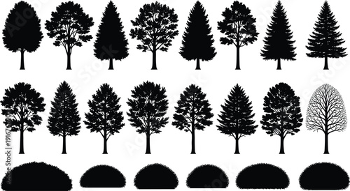 Black tree silhouettes set with pine, oak, maple, evergreen, deciduous species, and garden shrubs, landscape nature icons, cad drawing flat vector illustration.