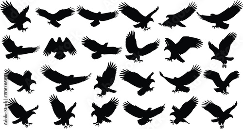 WebEagle and hawk silhouettes set in flight, soaring, hunting, landing, wings spread, predatory birds, wildlife icons, cad drawing flat vector illustration.